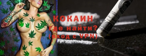 спайс Арсеньев