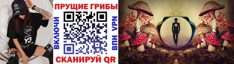 Галлюциногенные грибы GOLDEN TEACHER Хотьково